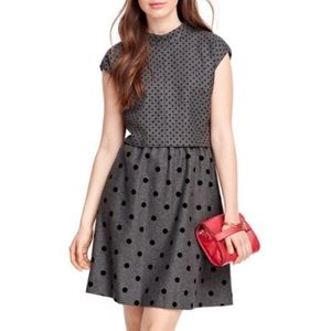 NWT Brooks Brothers Polka Dot Dress Size 10